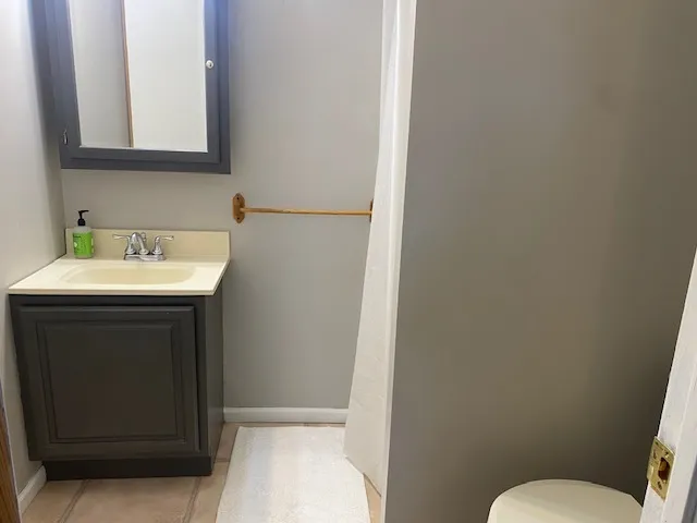 a bathroom with a sink toilet and mirror