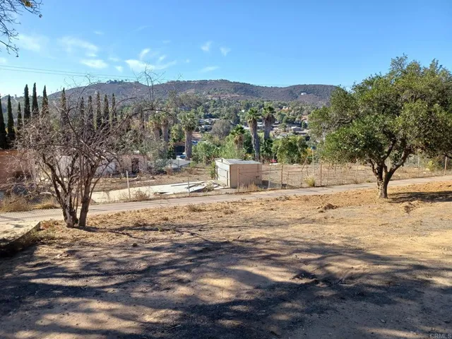 a view of a yard with trees