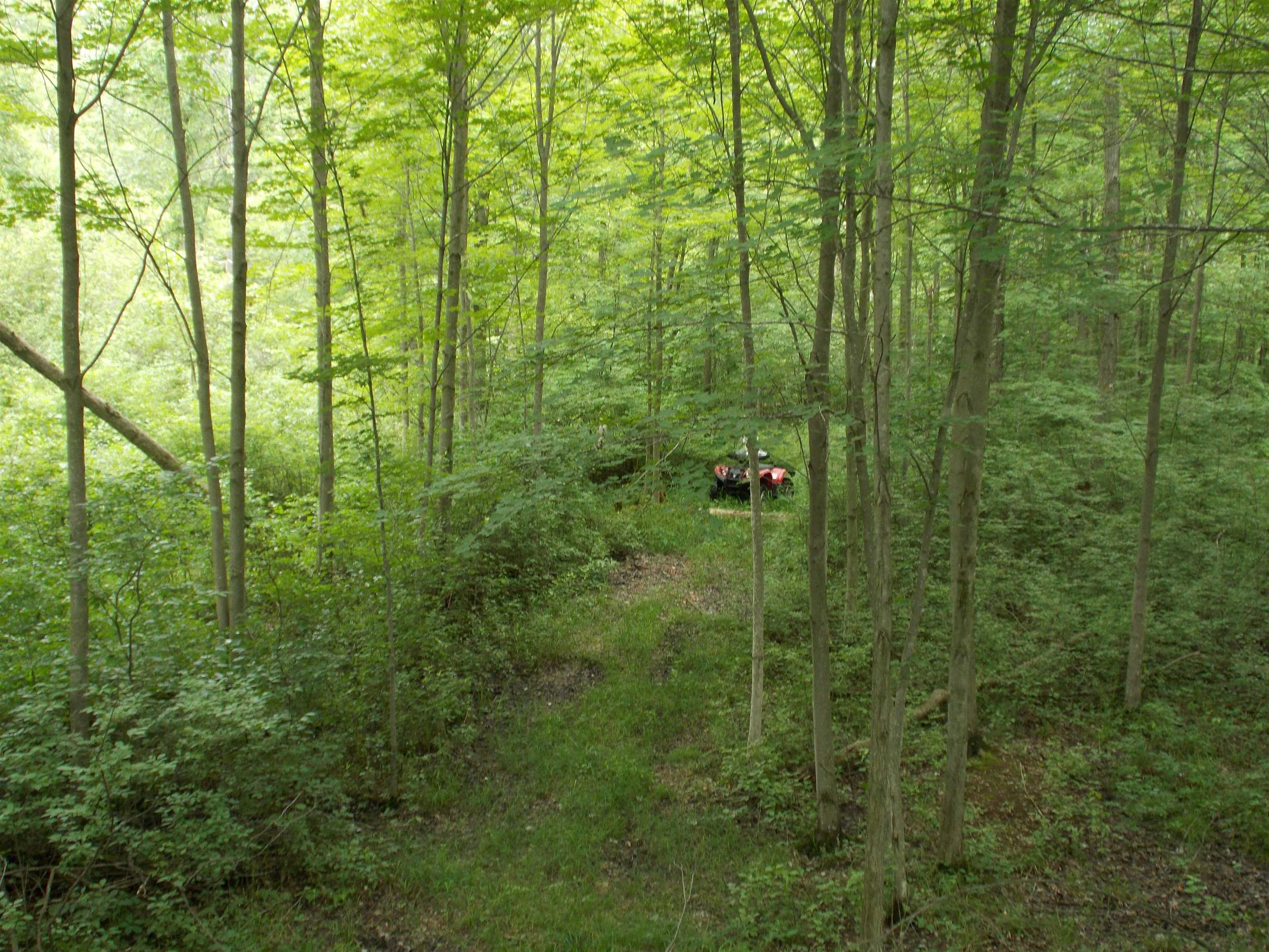 0 West Bessinger Road Omer, MI 48749 - Photo 1 of 16
