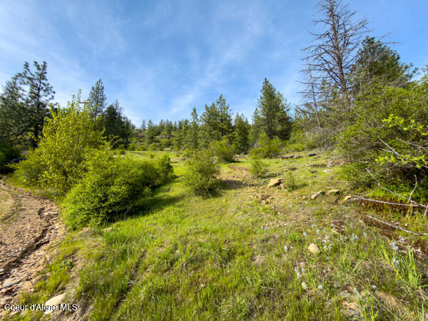 Nna Dunromin Road Priest River, ID 83856 - Photo 16 of 23 134223135607578087_134223135526792119_IM