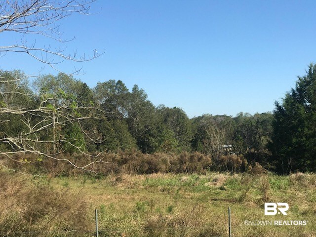 22764 Poplar Road Robertsdale, AL 36567 - Photo 4 of 5