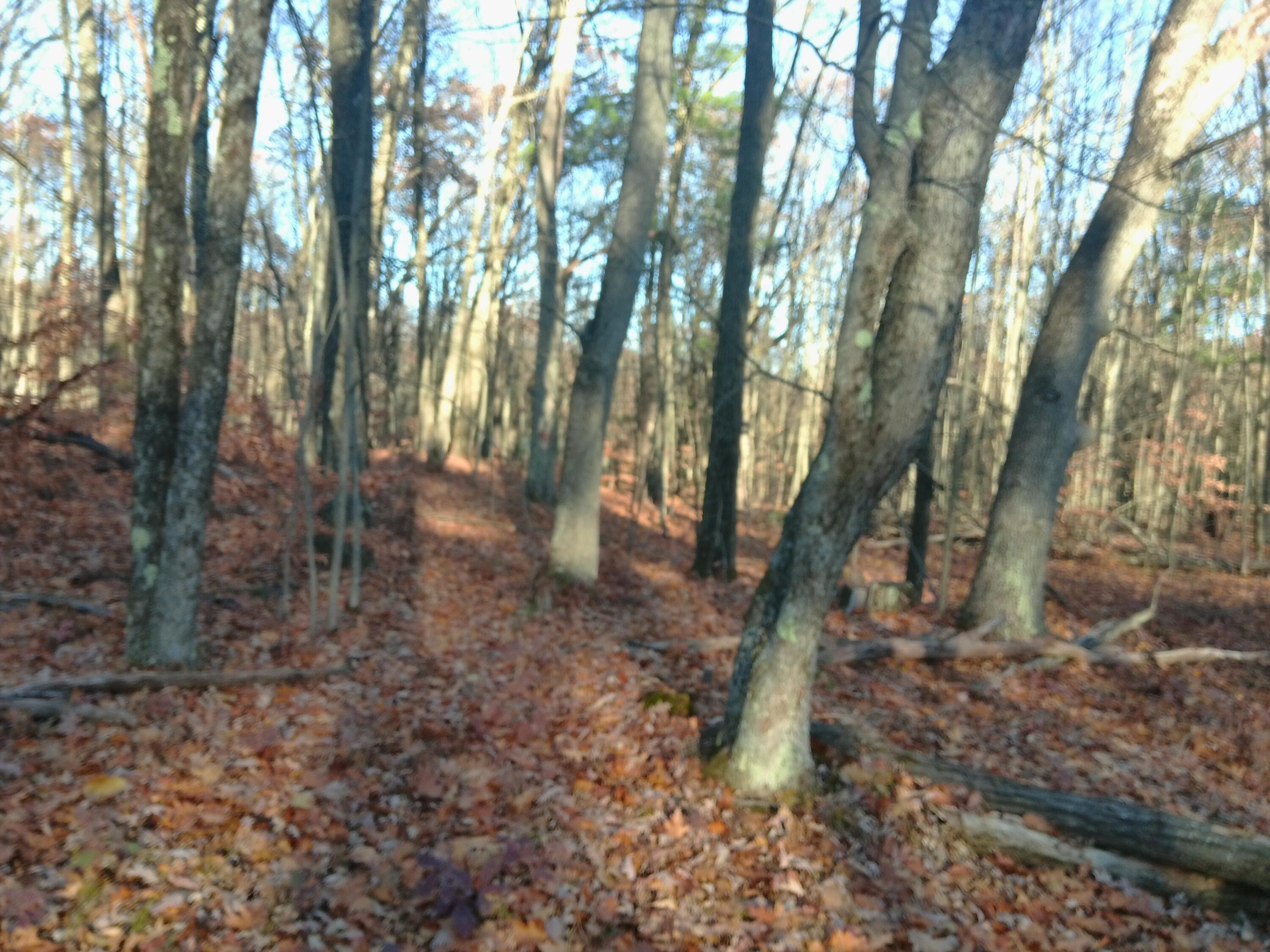 9579 East Timberline Trail Reed City, MI 49677 - Photo 16 of 19 100_0015