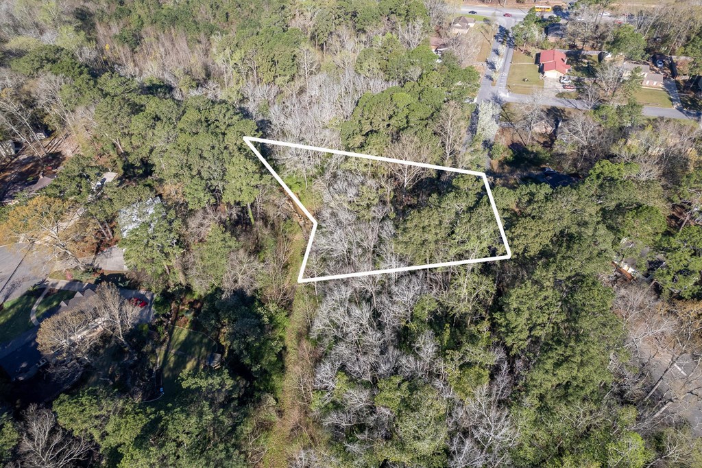 0 Shady Brook Lane Dothan, AL 36303 - Photo 3 of 7