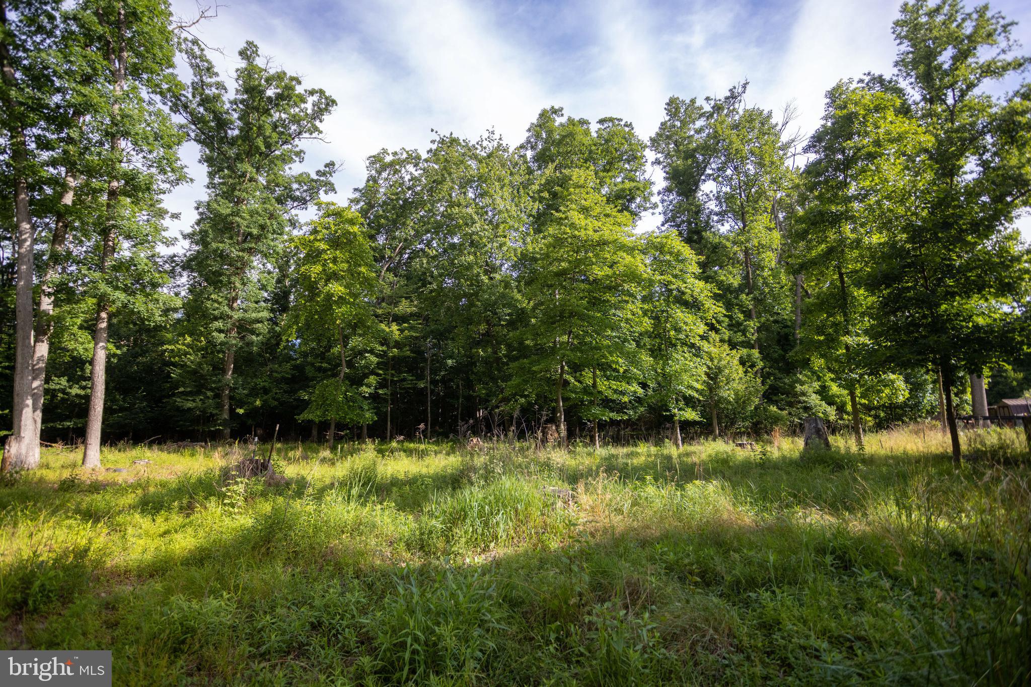 110 Cold Springs Road Carlisle, PA 17015 - Photo 12 of 25