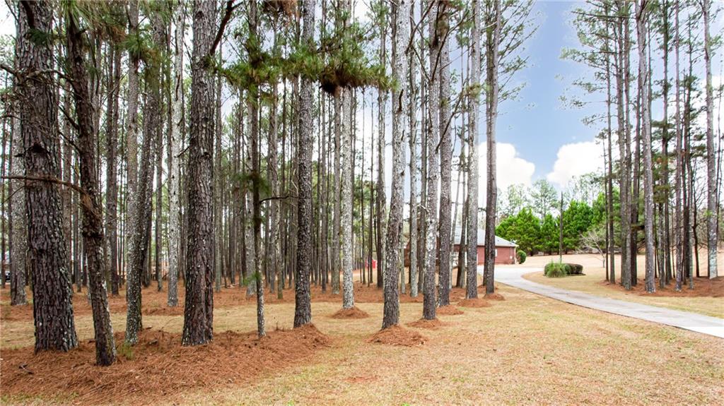 3060 Clegg Farm Road Social Circle, GA 30025 - Photo 10 of 74