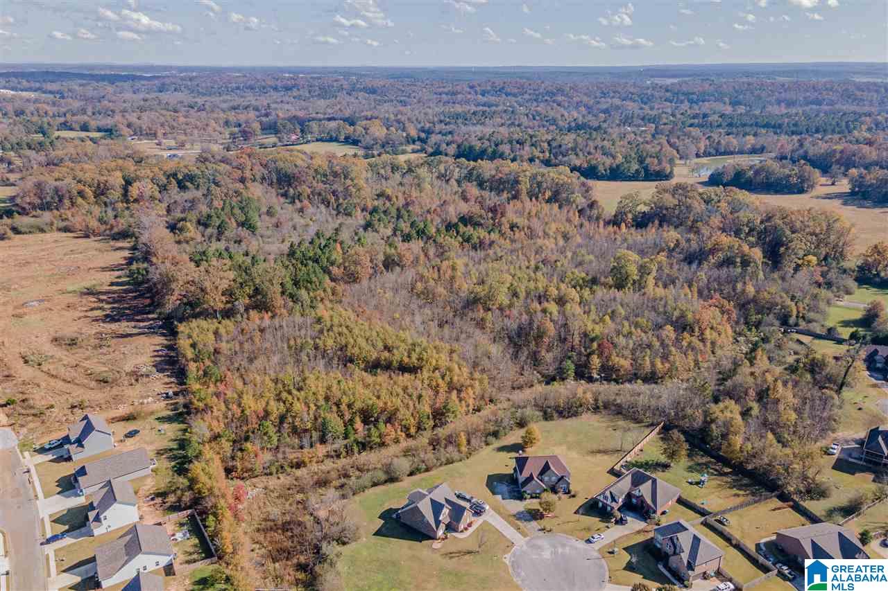 0 Highway 119 Montevallo, AL 35115 - Photo 4 of 5