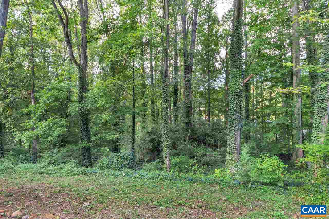 1522 Trailridge Road Charlottesville, VA 22903 - Photo 22 of 22 a view of a lush green forest