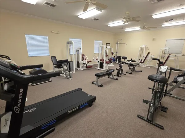 a view of livingroom with furniture and windows