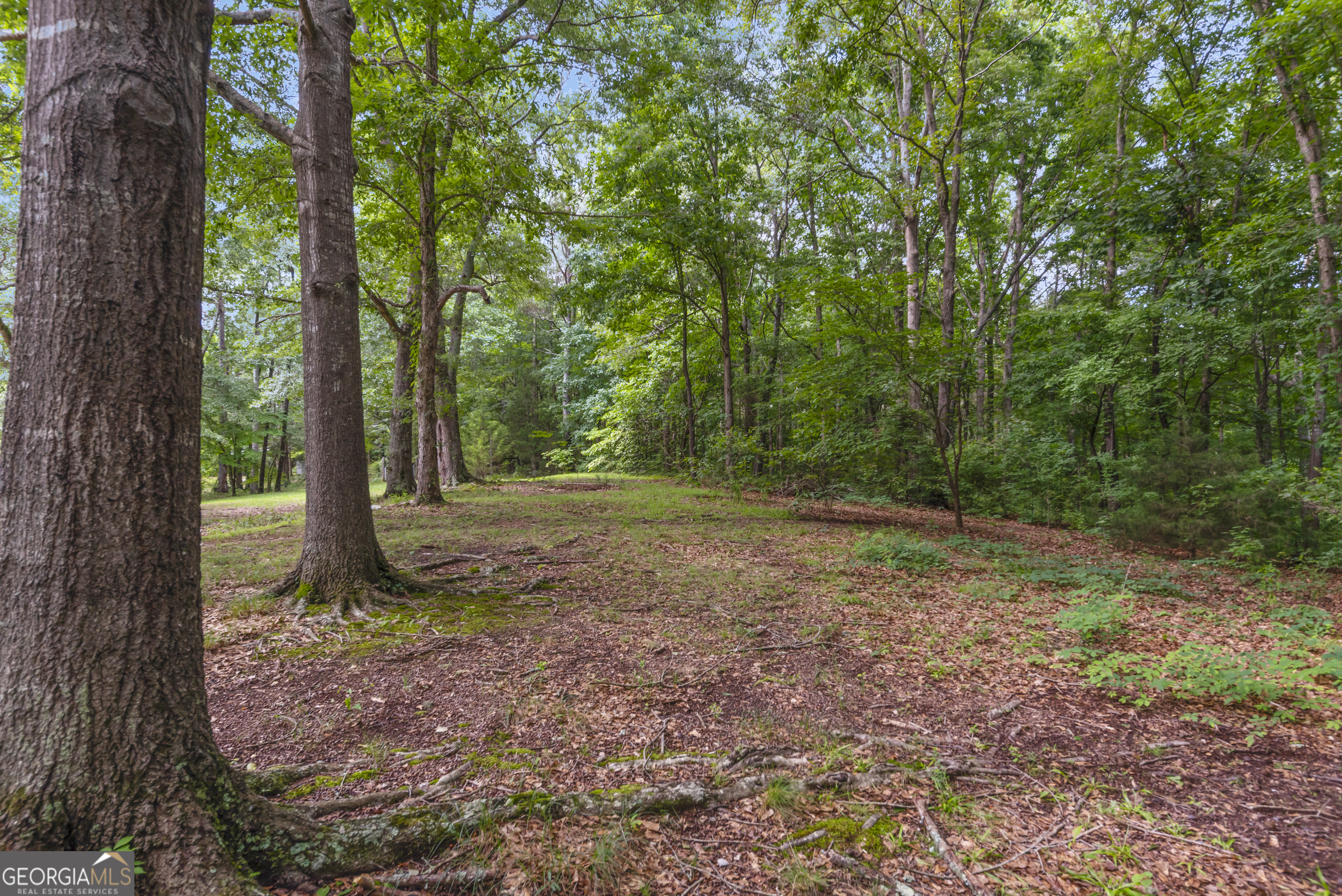 1451 Double Bridges Road Madison, GA 30650 - Photo 69 of 70