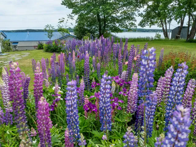 $424,900 | 151 Water Street, Eastport, ME 04631