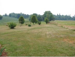 252 Davy Crockett Road Limestone, TN 37681 - Photo 6 of 8 Photo 6