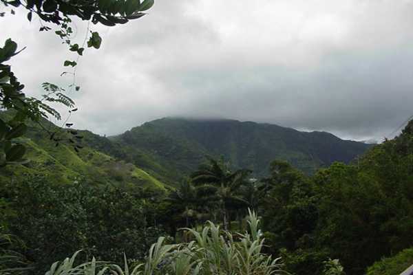 35 Wainiha Powerhouse Road Hanalei, HI 96714 - Photo 4 of 8 Gallery Image 4
