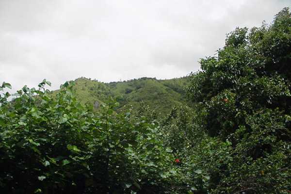 35 Wainiha Powerhouse Road Hanalei, HI 96714 - Photo 7 of 8 Gallery Image 7