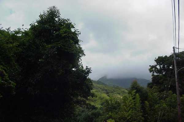 35 Wainiha Powerhouse Road Hanalei, HI 96714 - Photo 8 of 8 Gallery Image 8