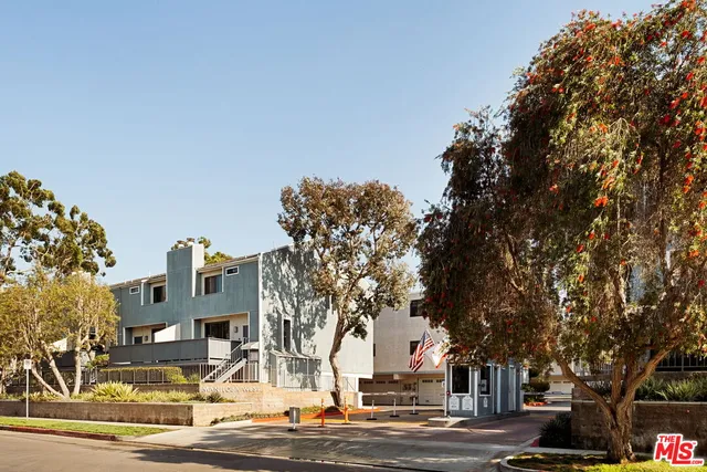 a street view with large trees