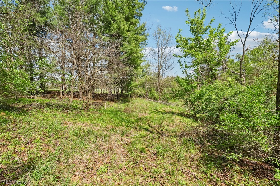 7802 Avon Lake Road Lodi, OH 44254 - Photo 42 of 44