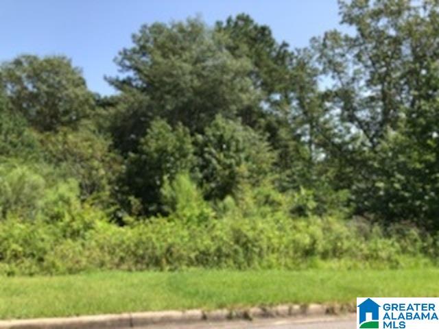 116 Foliage View, Unit 5 Alabaster, AL 35007 - Photo 2 of 3
