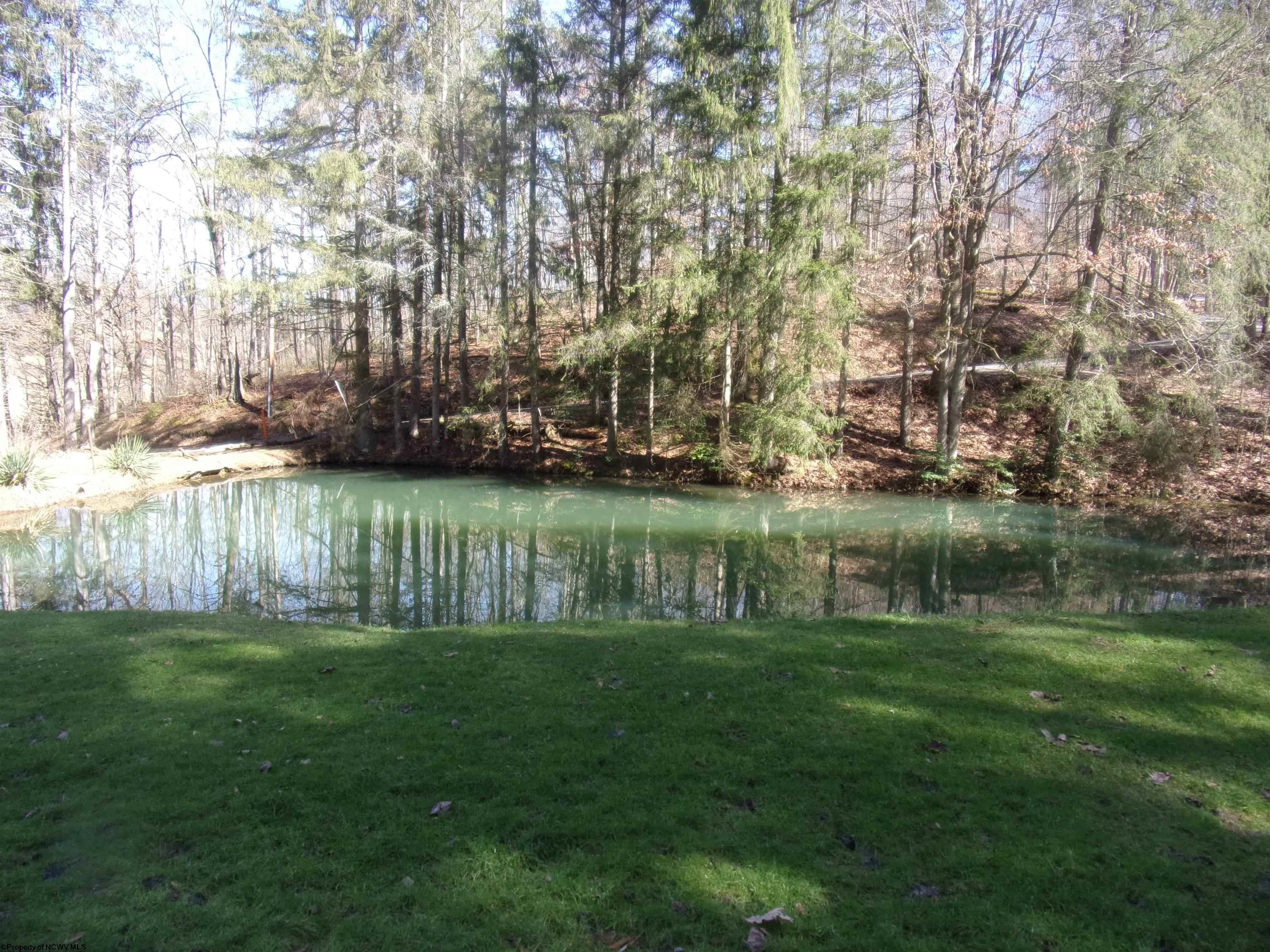 0 Merrick Buckhannon, WV 26201 - Photo 12 of 12 Gallery Image 12