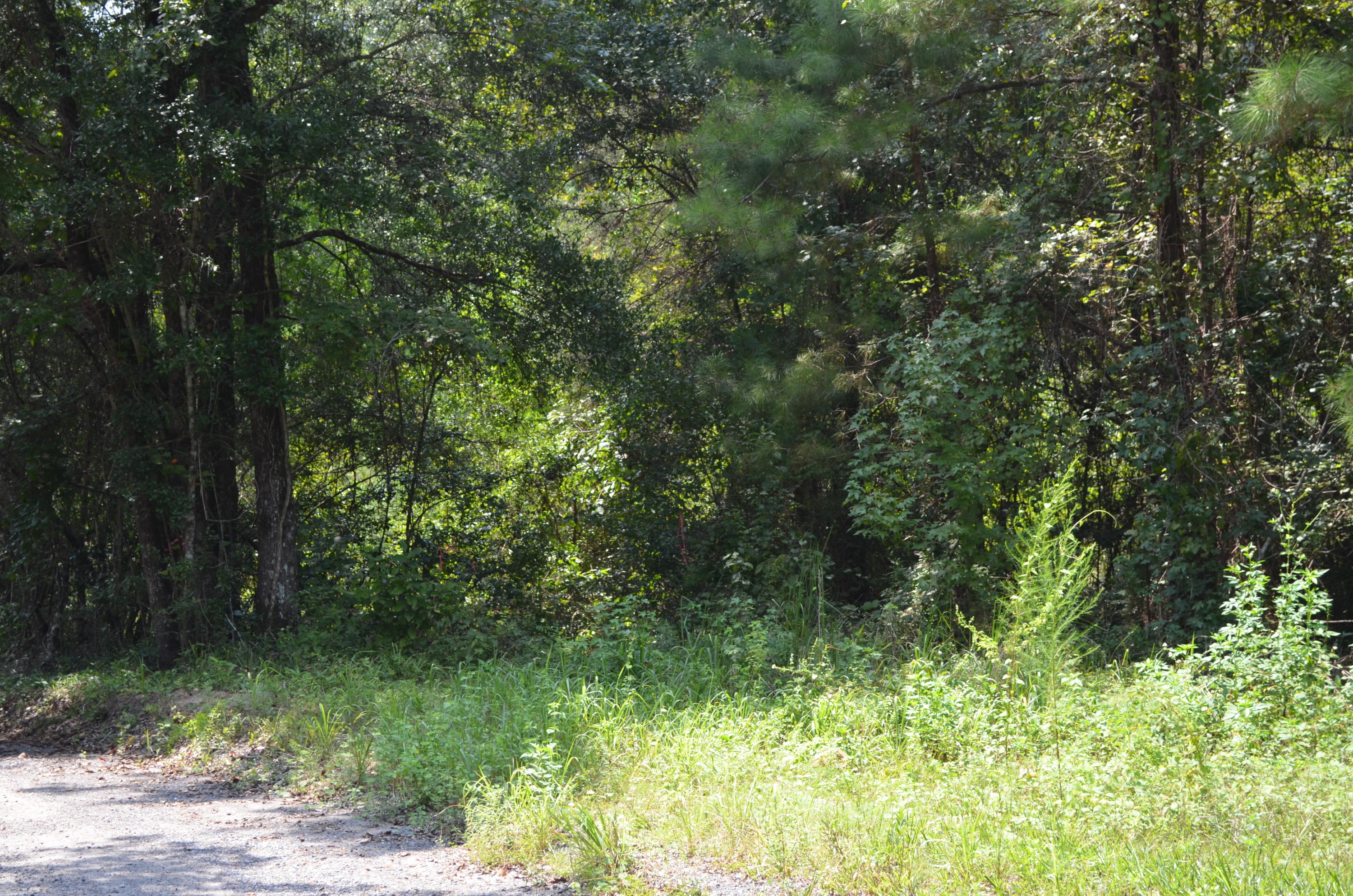 0 Hewett Road DeFuniak Springs, FL 32435 - Photo 1 of 3 Gallery Image 1