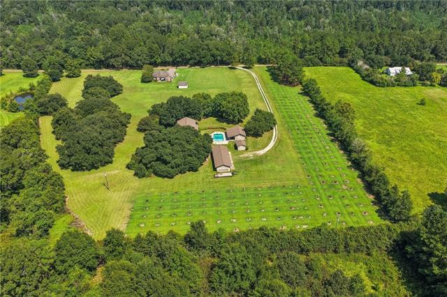 80369 Robinson Road Folsom, LA 70437 - Photo 31 of 31 Gallery Image 31