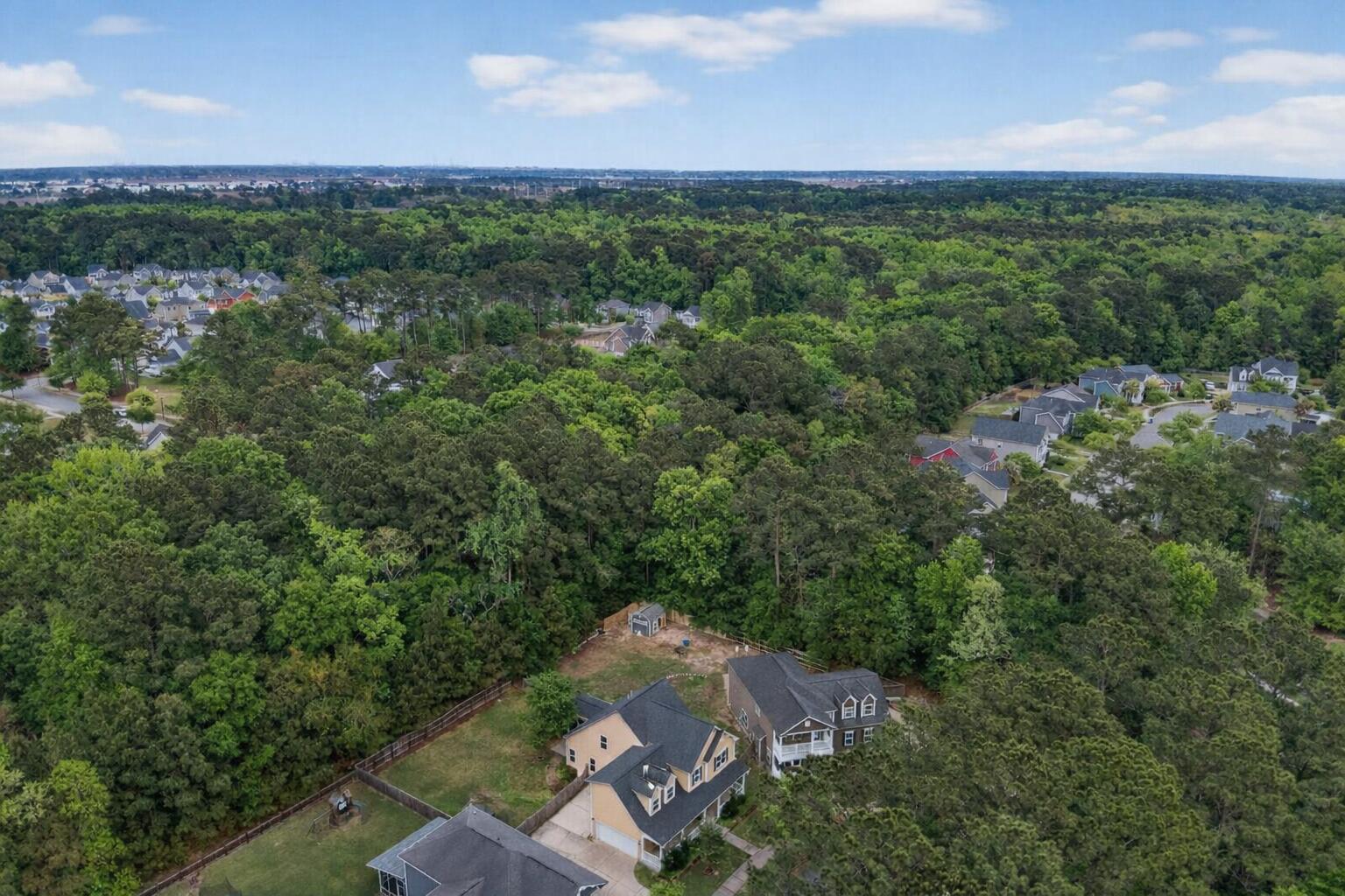 1244 Segar Street Johns Island, SC 29455 - Photo 48 of 54 Aerial