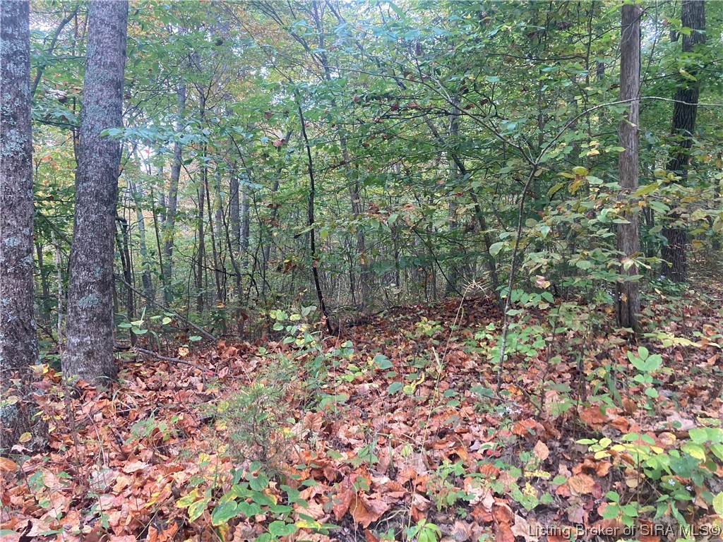 Tract 5 East Pilot Knob Road Milltown, IN 47145 - Photo 1 of 3