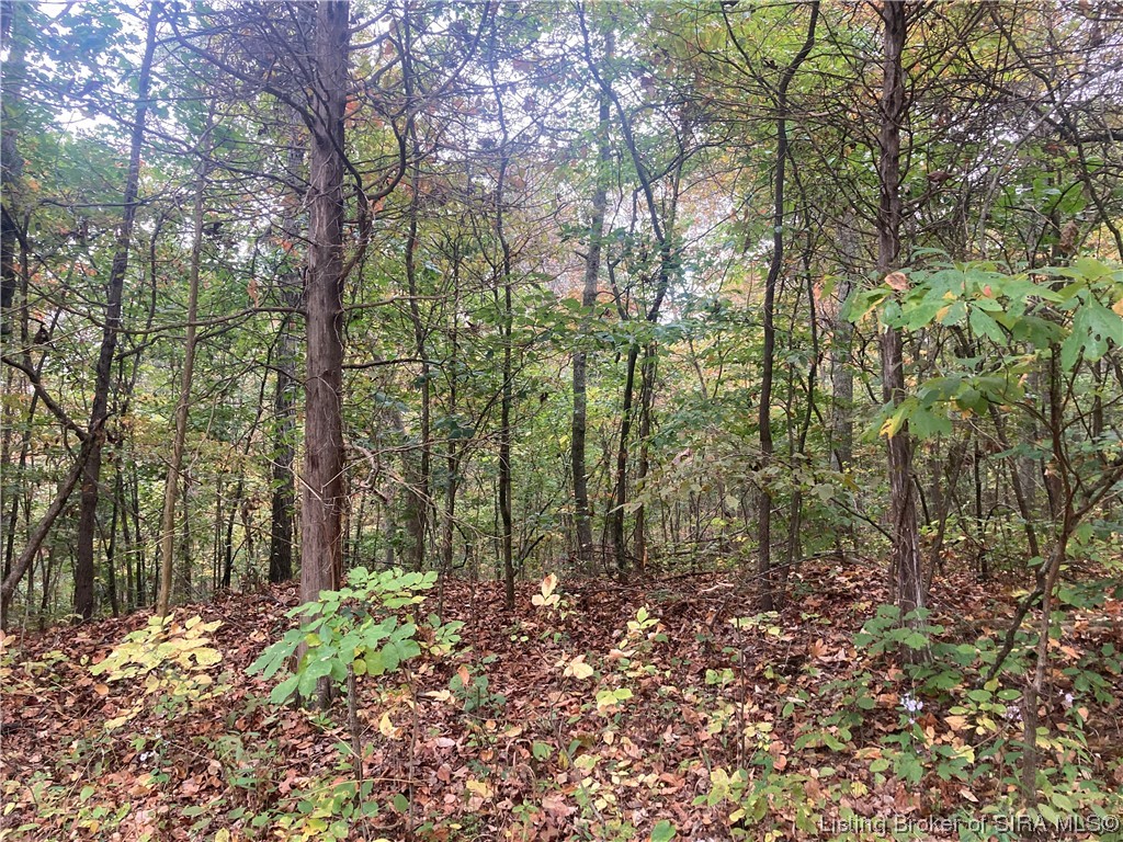 Tract 5 East Pilot Knob Road Milltown, IN 47145 - Photo 2 of 3