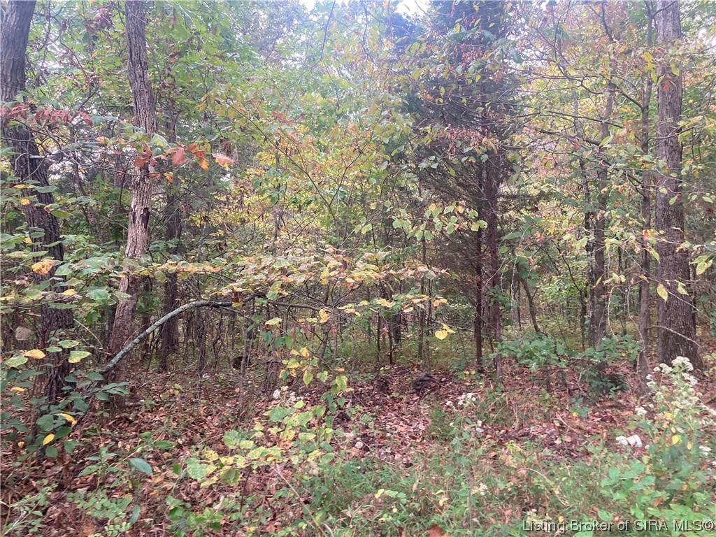Tract 5 East Pilot Knob Road Milltown, IN 47145 - Photo 3 of 3