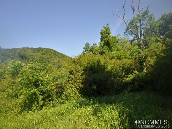 800 Harper Road Hendersonville, NC 28792 - Photo 15 of 16
