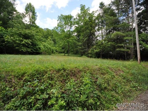 800 Harper Road Hendersonville, NC 28792 - Photo 3 of 16