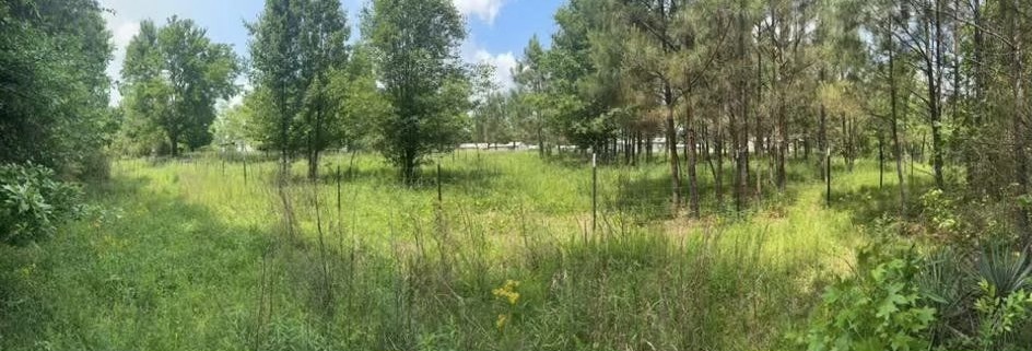 1031 Ridge Road Savannah, TN 38372 - Photo 2 of 10 Gallery Image 2
