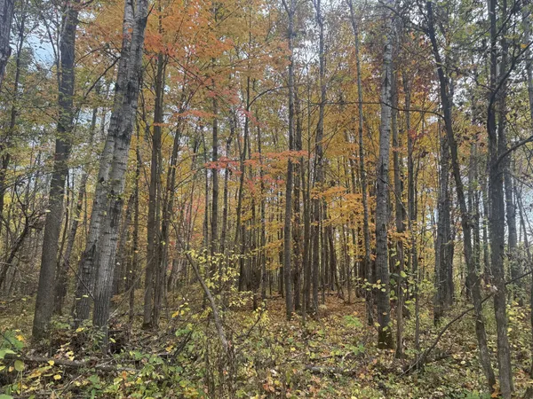 $995,000 | 40 North Exeland Wi 54835, Exeland, WI 54835