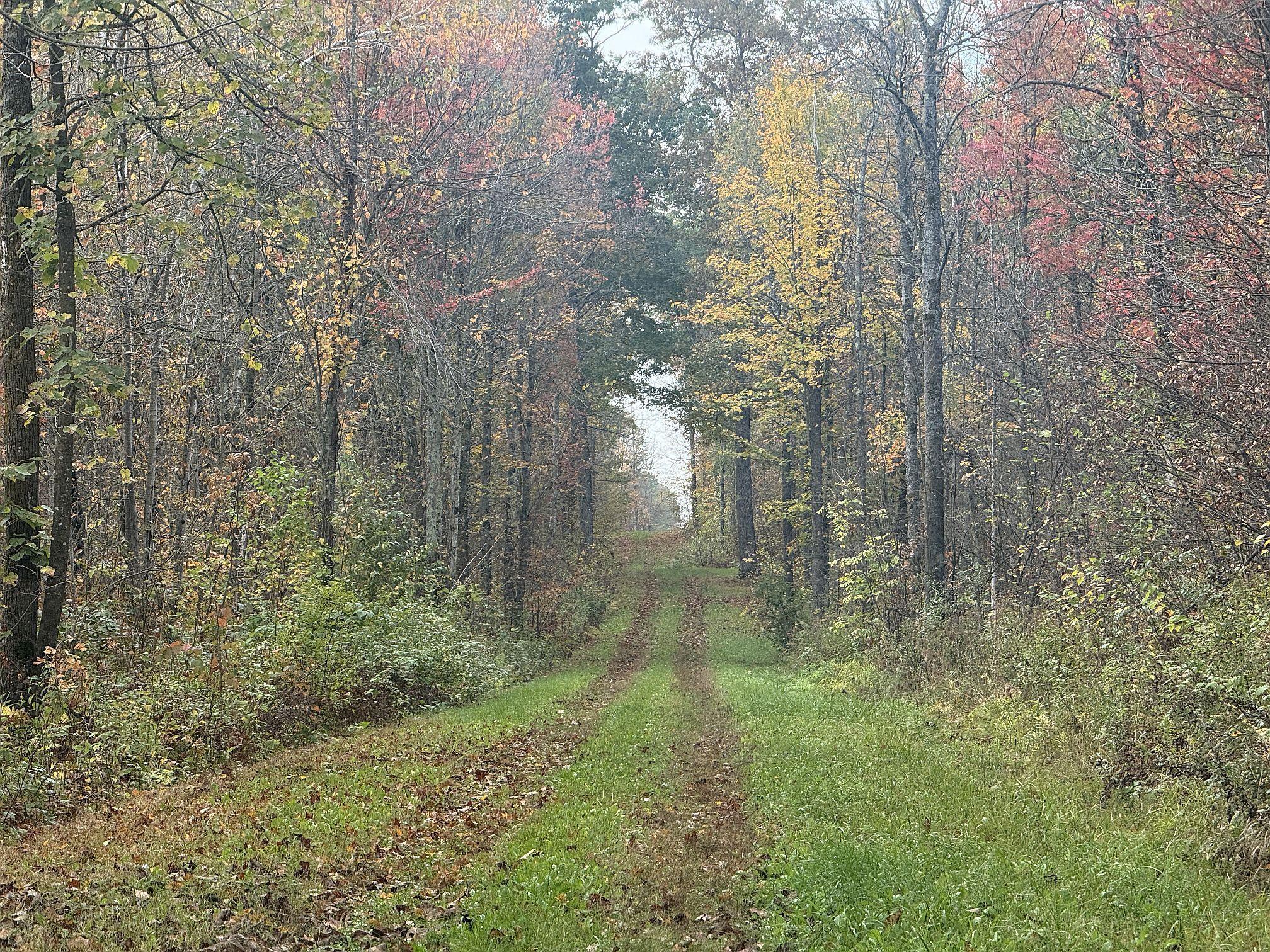 40 North Radisson Wi 54835 Exeland, WI 54835 - Photo 13 of 40