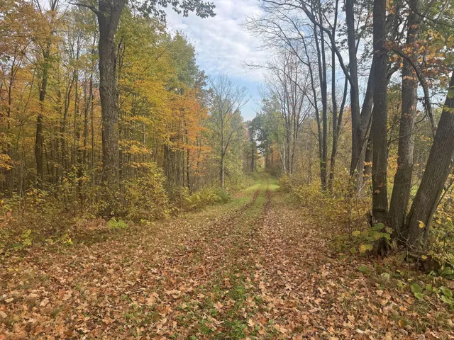 $1,300,000 | 40 North Radisson Wi 54835, Exeland, WI 54835