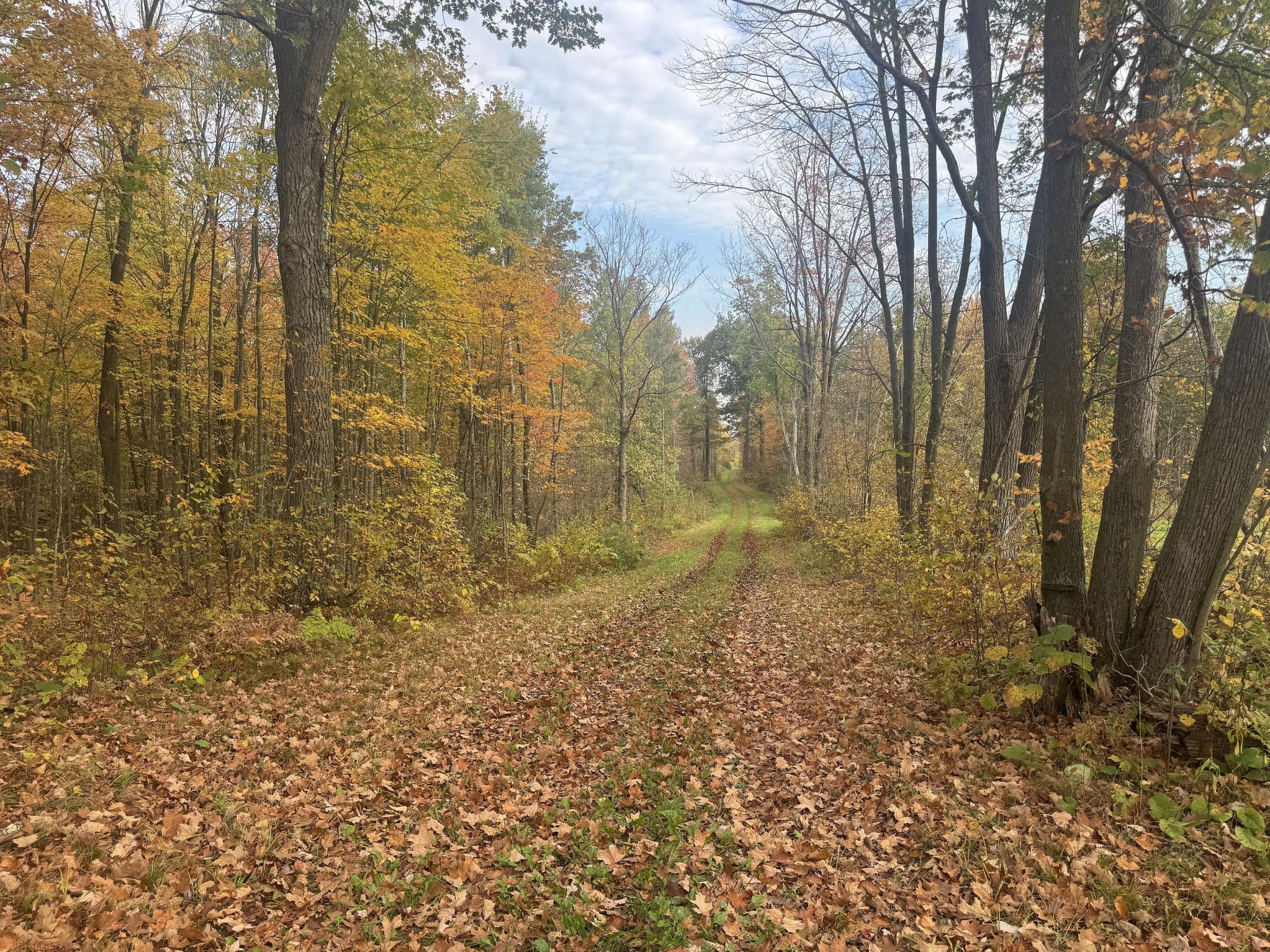 40 North Radisson Wi 54835 Exeland, WI 54835 - Photo 16 of 40