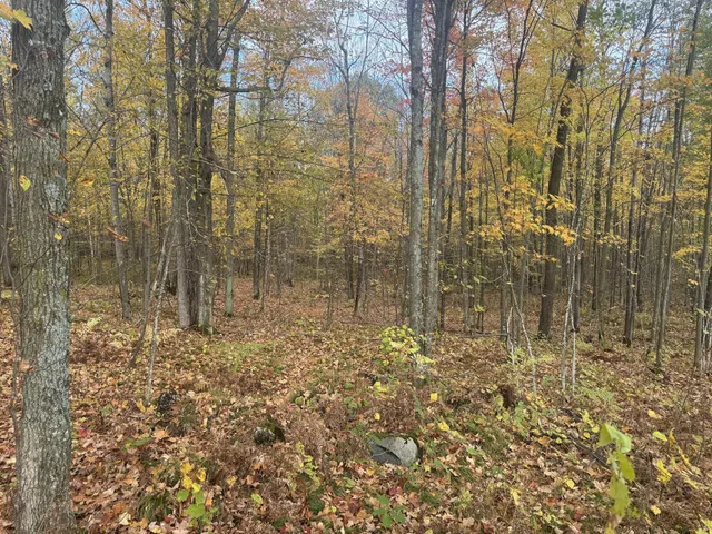 $1,300,000 | 40 North Radisson Wi 54835, Exeland, WI 54835