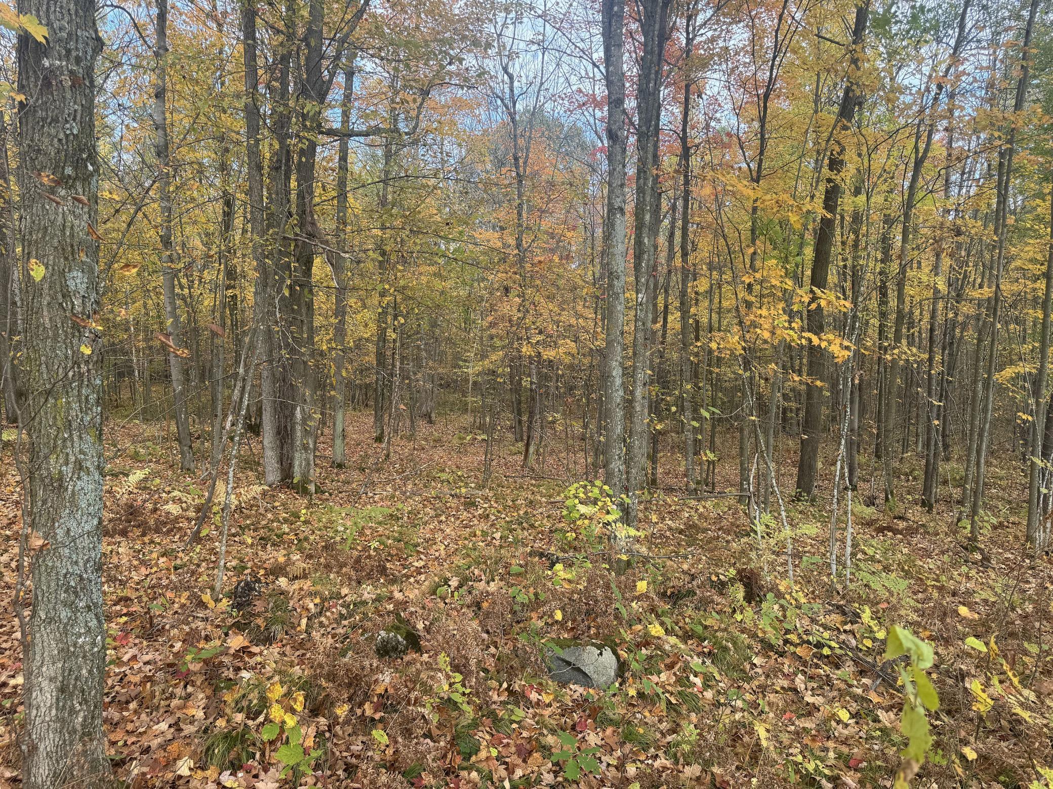 40 North Radisson Wi 54835 Exeland, WI 54835 - Photo 17 of 40