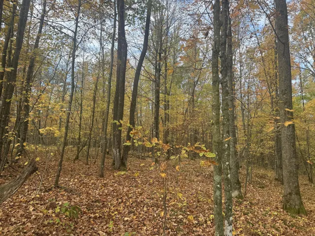 $1,300,000 | 40 North Radisson Wi 54835, Exeland, WI 54835