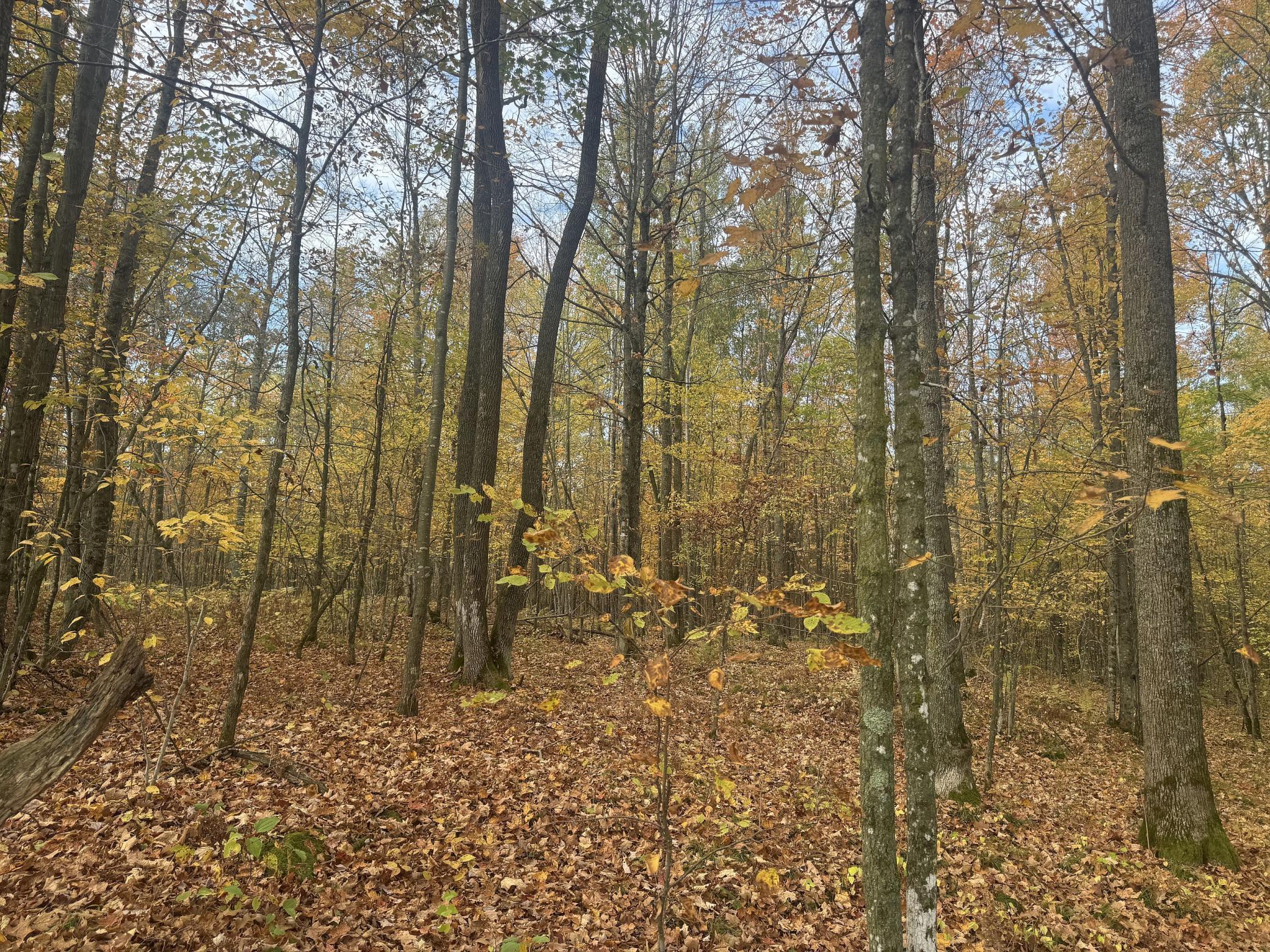 40 North Radisson Wi 54835 Exeland, WI 54835 - Photo 18 of 40