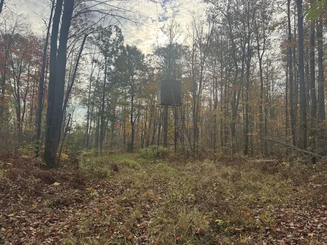 $1,300,000 | 40 North Radisson Wi 54835, Exeland, WI 54835