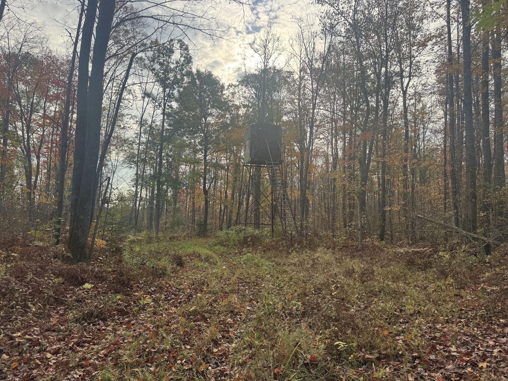 40 North Radisson Wi 54835 Exeland, WI 54835 - Photo 20 of 40