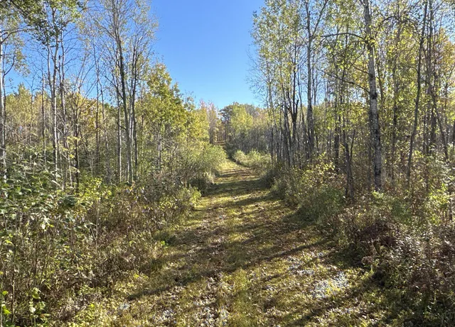 $1,300,000 | 40 North Radisson Wi 54835, Exeland, WI 54835