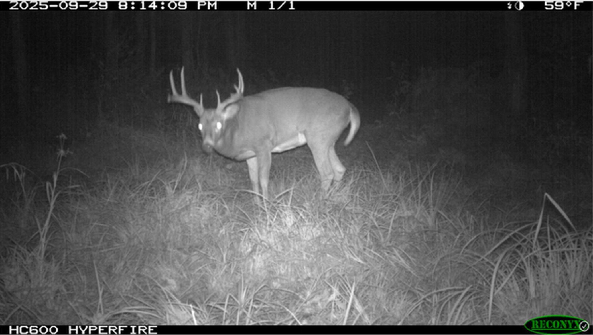 40 North Radisson Wi 54835 Exeland, WI 54835 - Photo 36 of 40