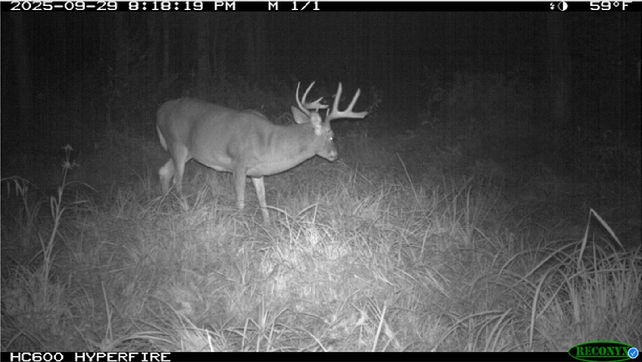 40 North Radisson Wi 54835 Exeland, WI 54835 - Photo 37 of 40