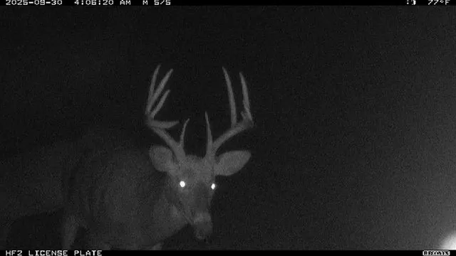 $1,300,000 | 40 North Radisson Wi 54835, Exeland, WI 54835