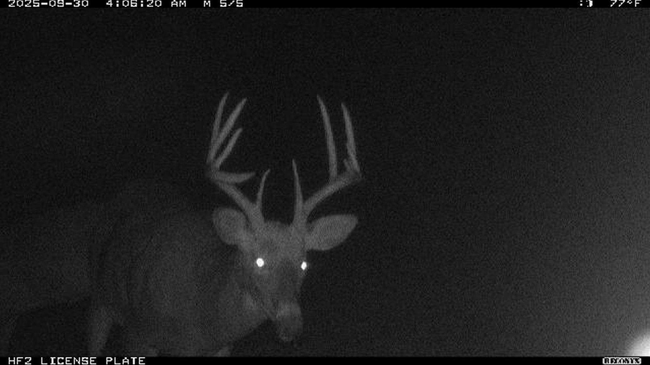 40 North Radisson Wi 54835 Exeland, WI 54835 - Photo 39 of 40