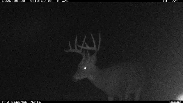 $1,300,000 | 40 North Radisson Wi 54835, Exeland, WI 54835