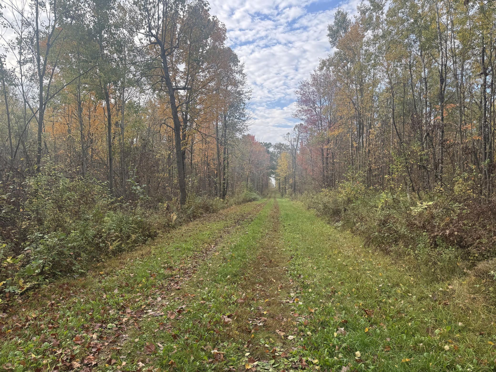 40 North Radisson Wi 54835 Exeland, WI 54835 - Photo 4 of 40