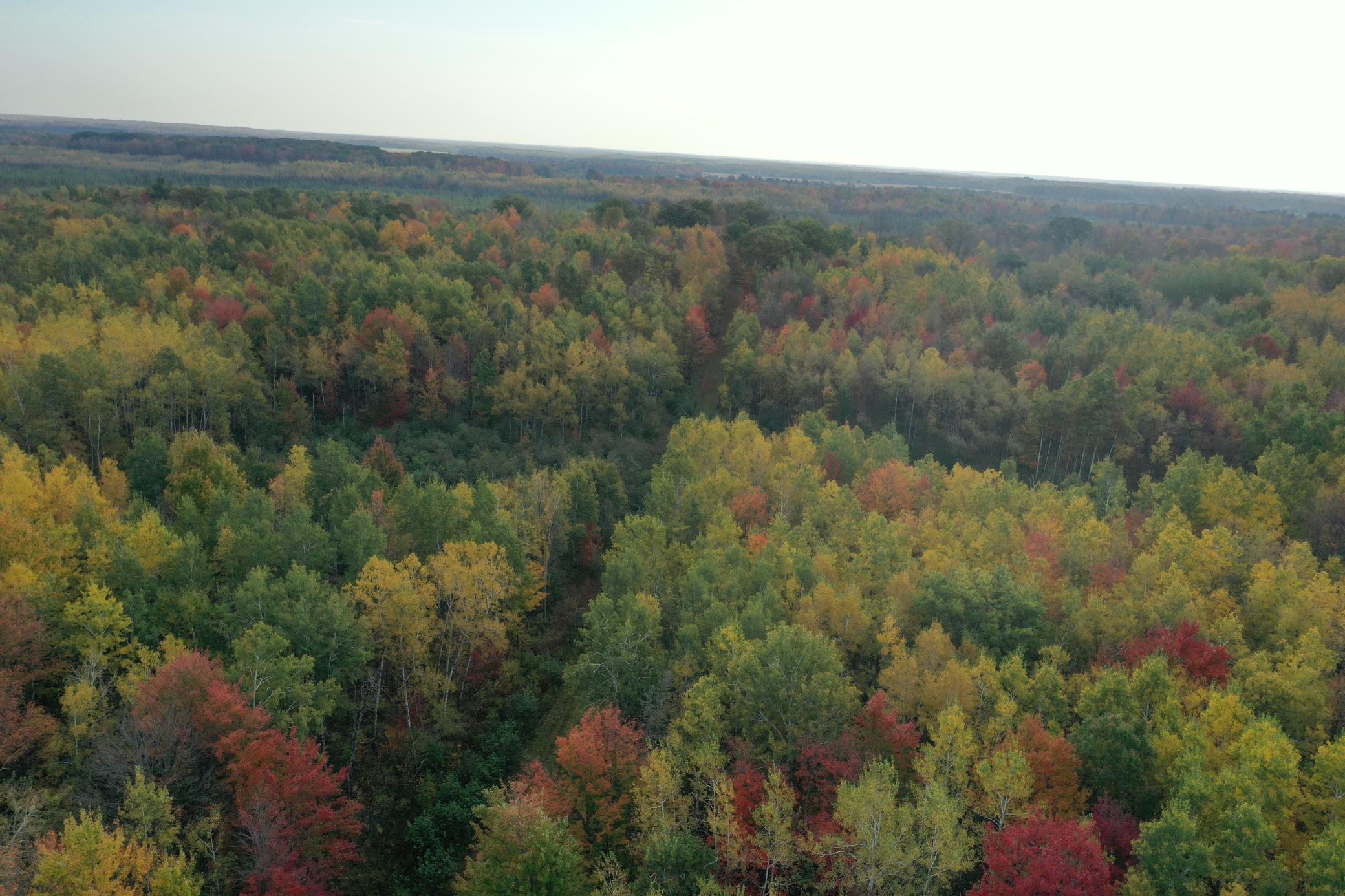 40 North Radisson Wi 54835 Exeland, WI 54835 - Photo 7 of 40