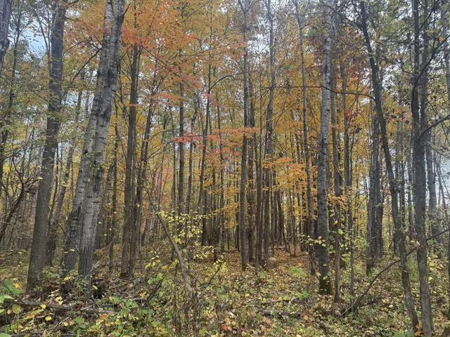 $1,300,000 | 40 North Radisson Wi 54835, Exeland, WI 54835